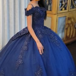 Brand New Quinceañera Dress 