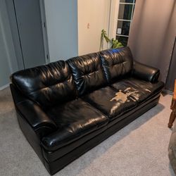 Free Couch