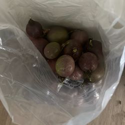 Maracuyas Passion Fruit 