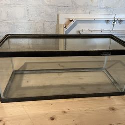 Tank or Aquarium 