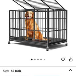 Dog Kennel