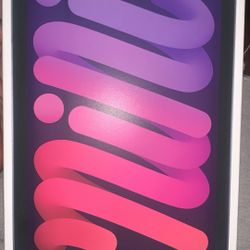 iPad Mini 7 Gen 256GB