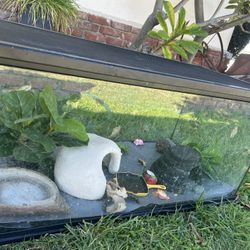 Fish Tank 
