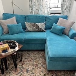 Teal Sleeper/sofa 