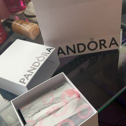 pandora charm bracelet and pandora charm case/box.