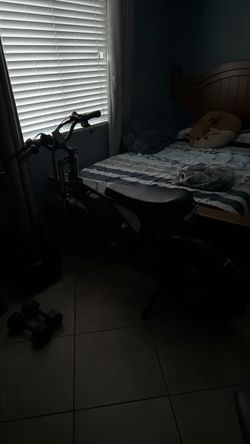 Ridstar