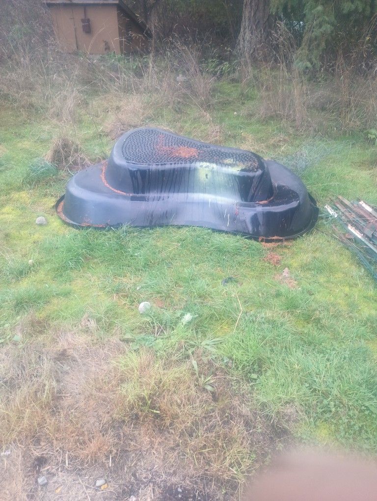 Pond Insert Or Whatever You Want