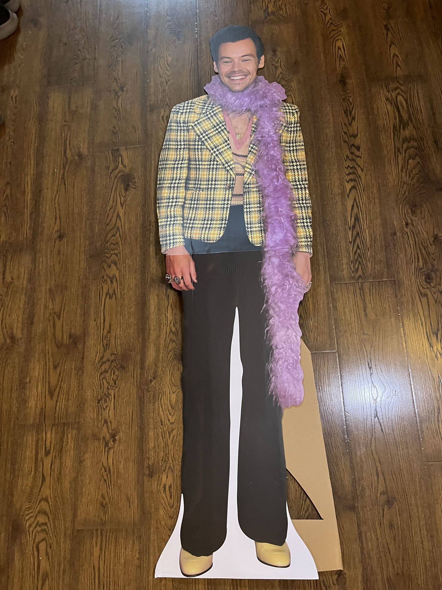 Harry Styles (Feather Boa) Life Size 72” Cardboard Cutout. 