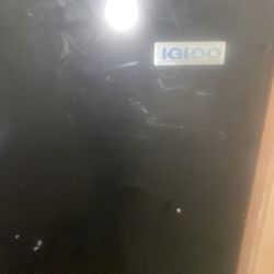 Igloo Mini Refrigerador 