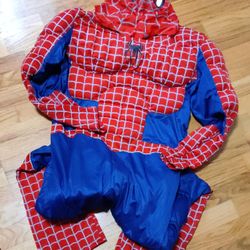 Halloween Costumes (Adults And Toddler)