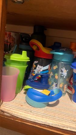 Kids Cups and Water Bottles Lot
