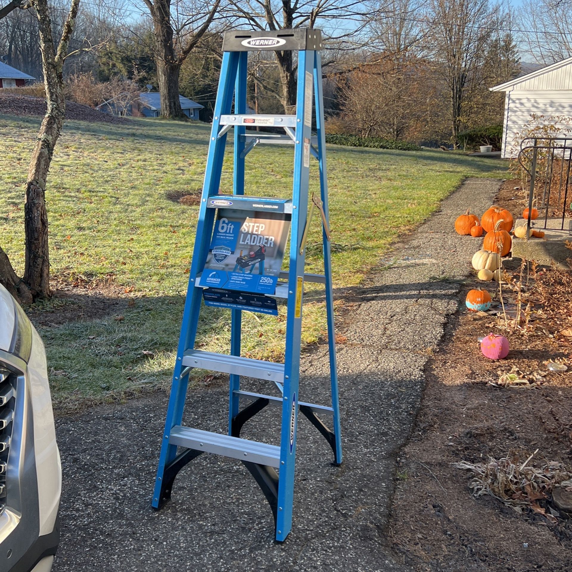 Werner 6ft Fiberglass Ladder