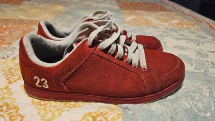 Etnies Sal Barbier In4mation Collab skate shoe sz 10