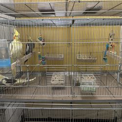 cages