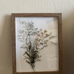 Plant Frame