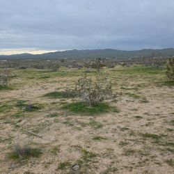 4.31 acres lot land helendale ca
Lot land for sale 
55k cash
Text or call the realtor for appointments


DRE# 0
Excelente RE Real E