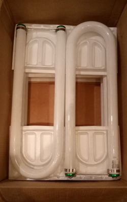 U-Bend Fluorescent Light Bulbs