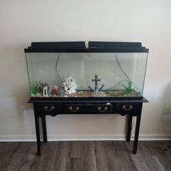 Aquarium 