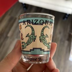 Vintage Arizona Petrified Forest Shot Glass