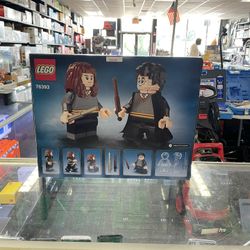 LEGO 76393 Harry Potter & Hermione Granger