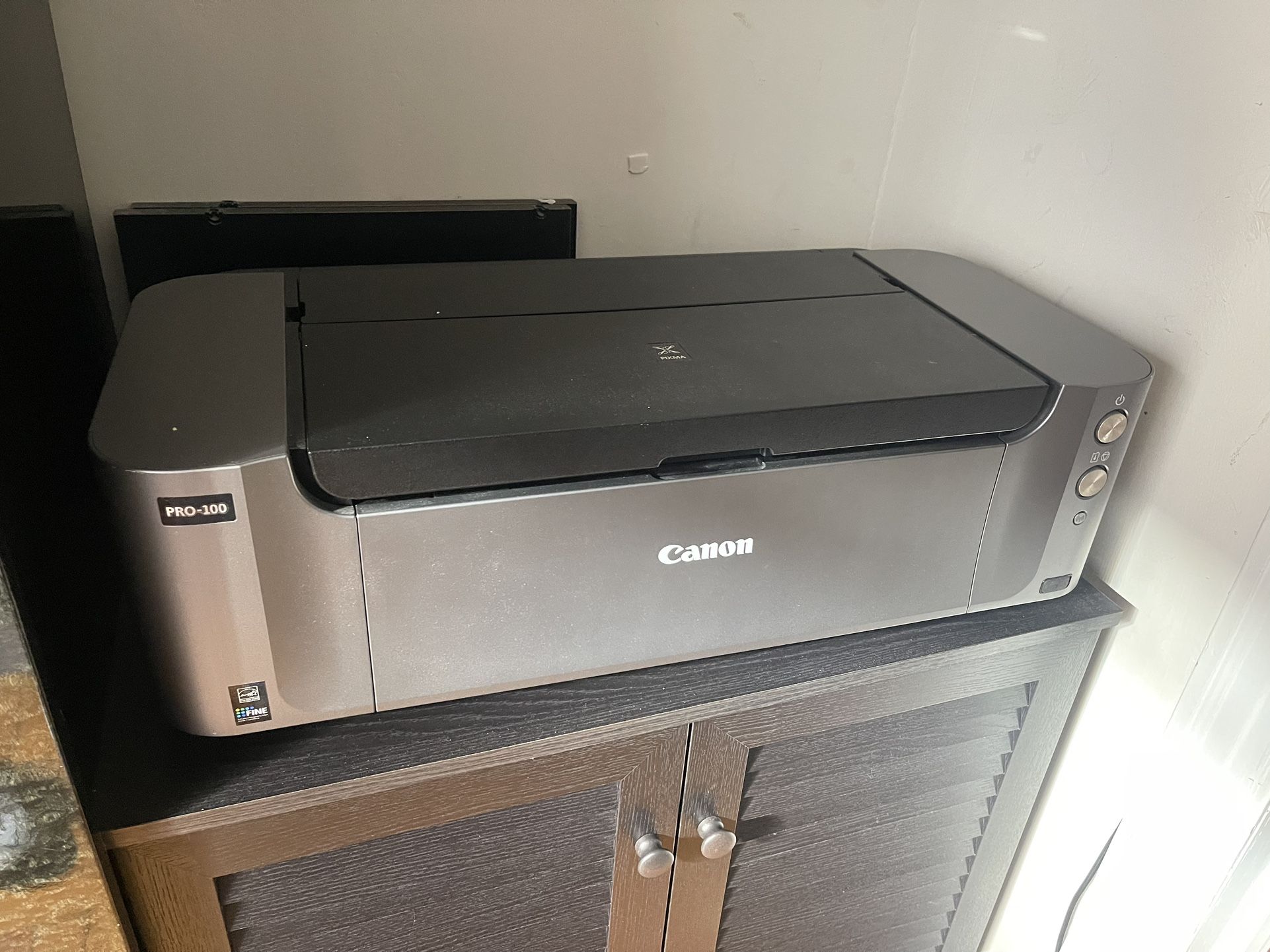 Pro-100 Canon Printer 