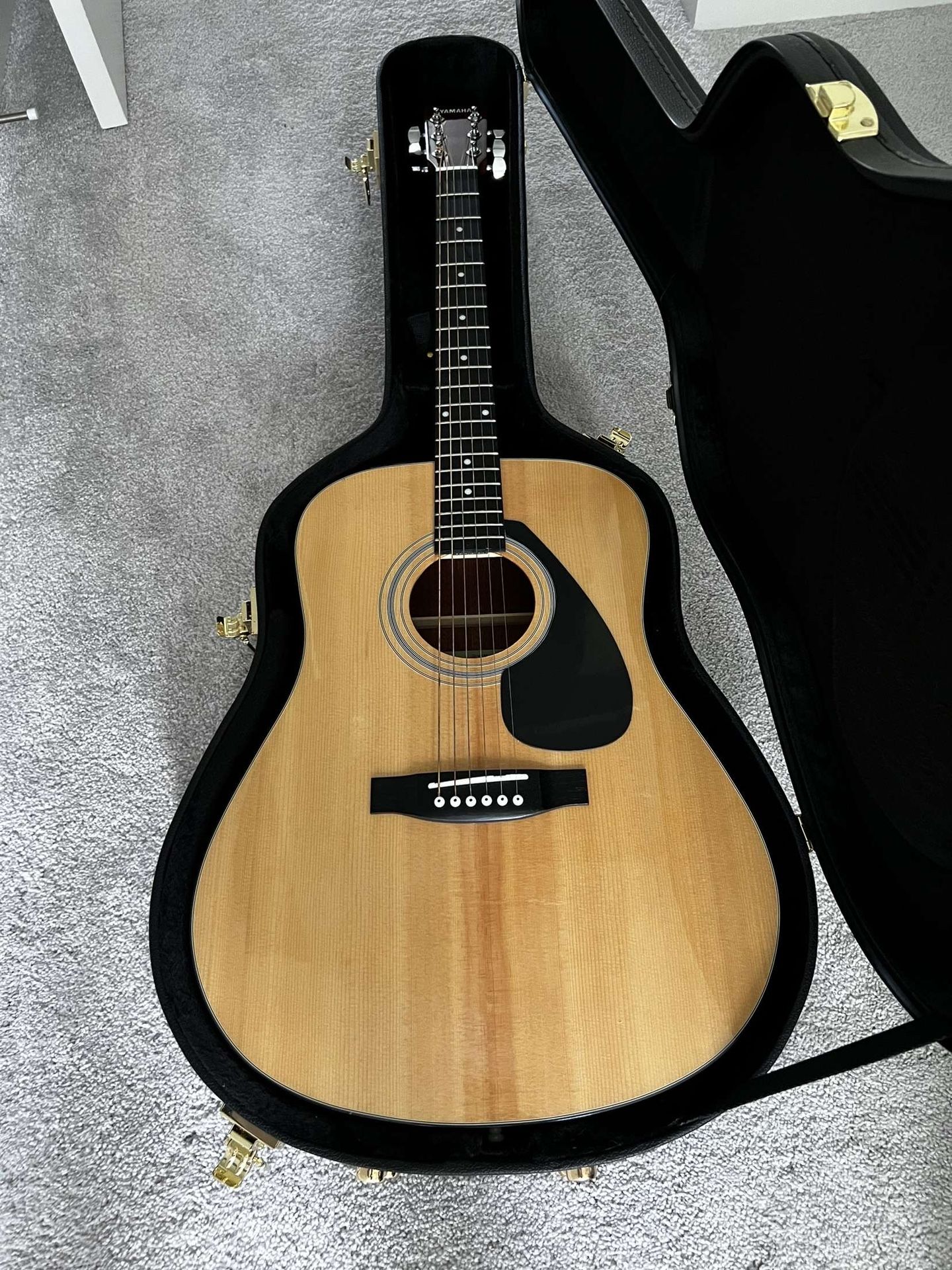 Acoustic Guitar
