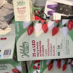25ct LED Red & White Alternating Christmas Lights – $5 Per Box