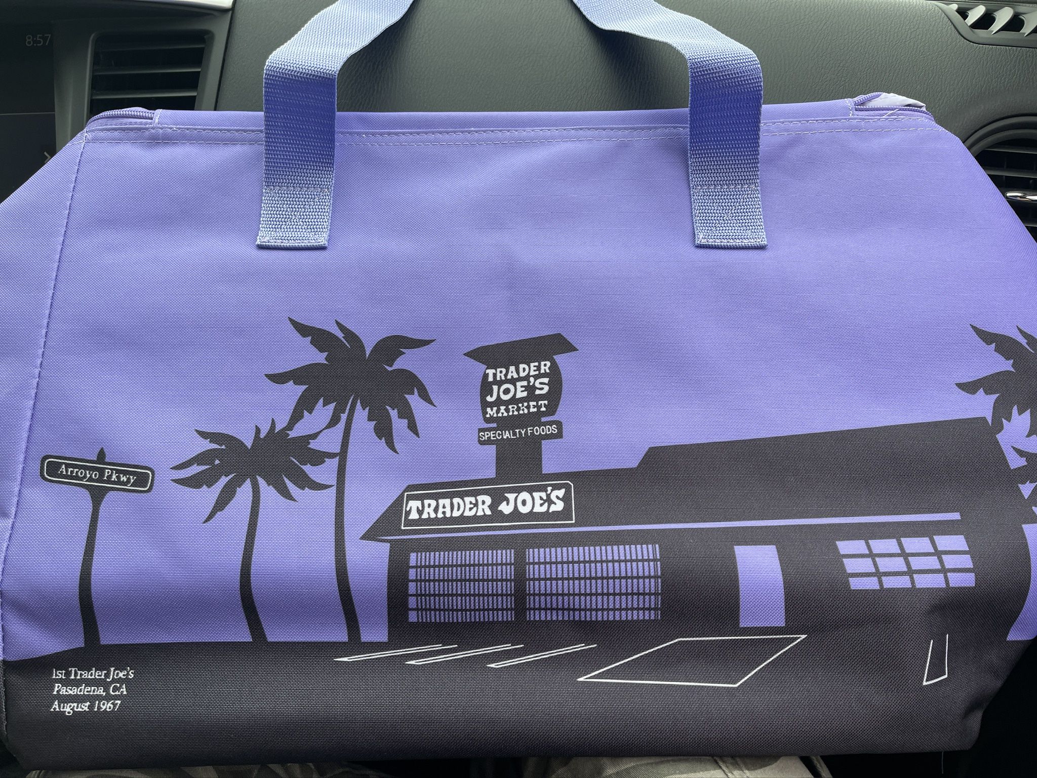 Trader Joes Large Insulated Bag