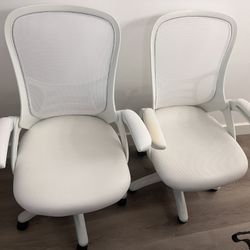 Office Chairs