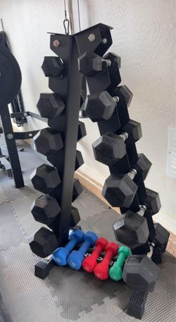 Dumbbells and Rack