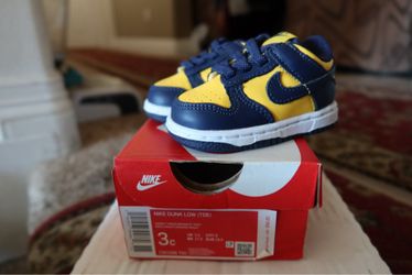 Nike Dunk toddler size 3