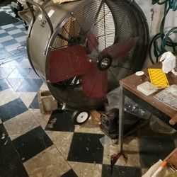 Fan 