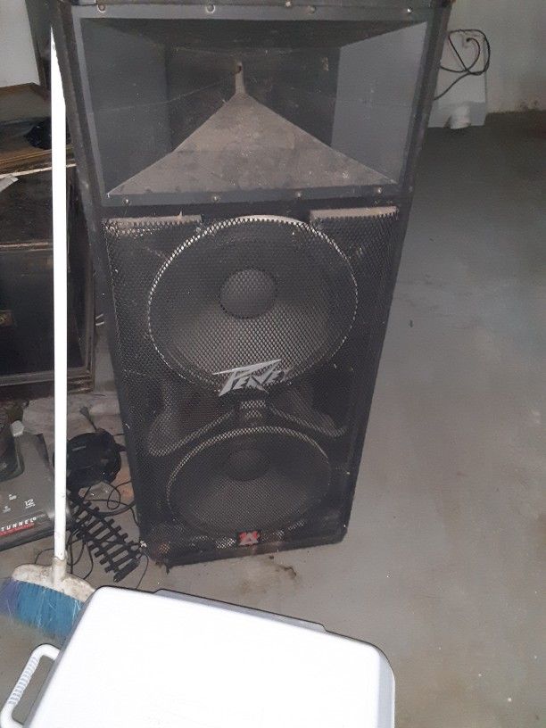 Peavey 17 Inch Speaker Box