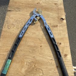 Pruner