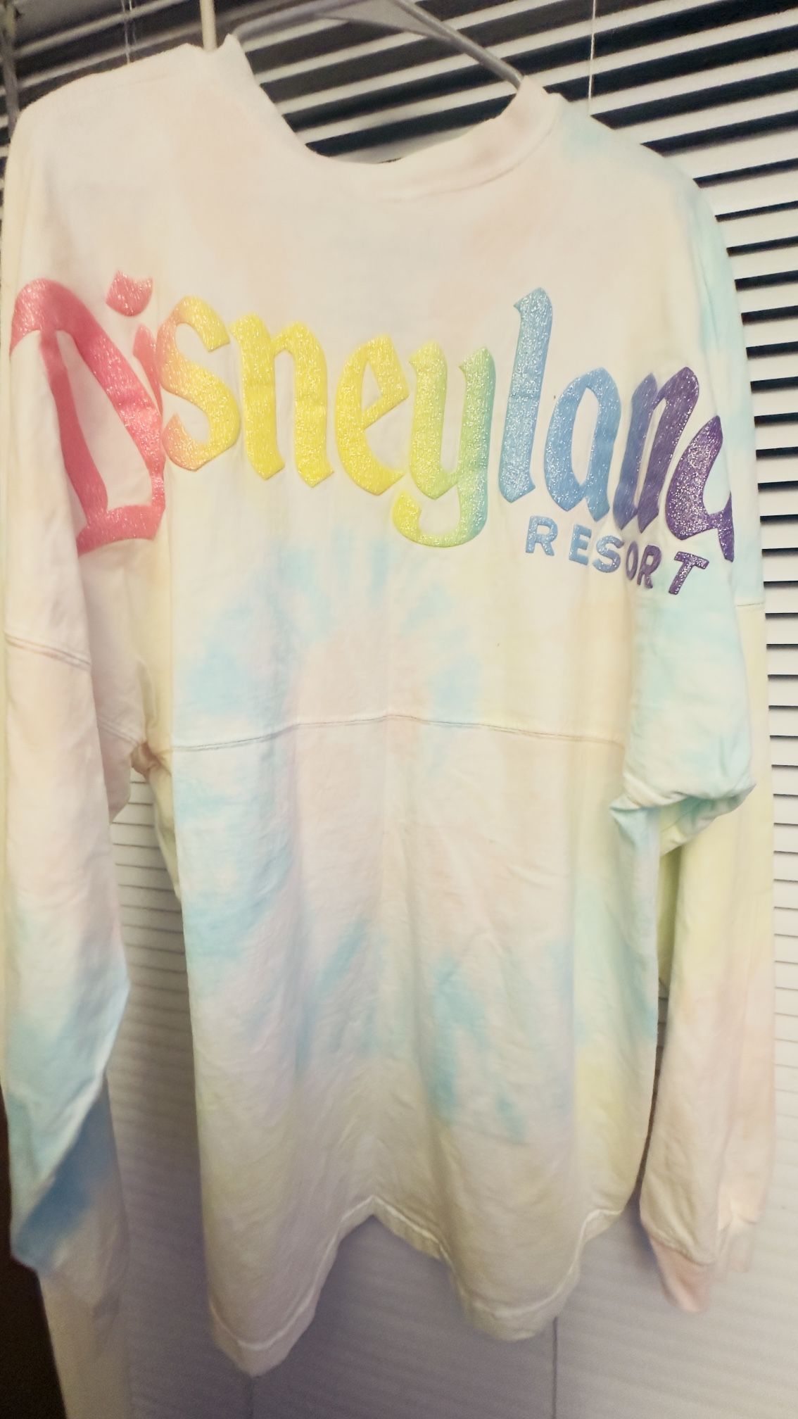 Disney Parks Sweatshirt