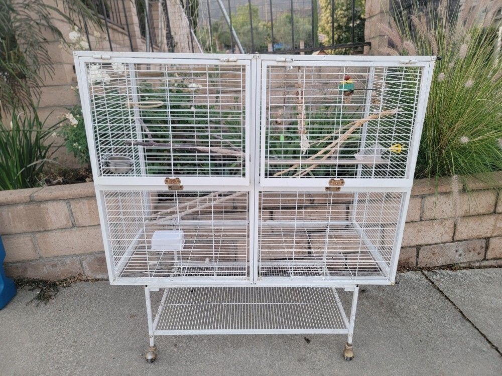 Bird Cage