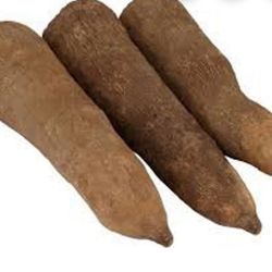 Fresh African Yam, Fresh Ghana Yam, Fresh Tubers of Yam