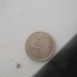 Rare No Date Gold Dollar