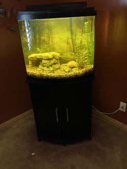 25 Gal Aquarium