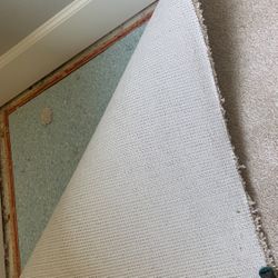 Clean Carpet + Pad