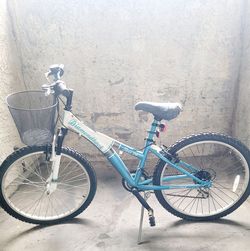 14" Diamondback bicycles in great condition