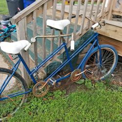 1980s Schwinn Two-seater Pipe With Coaster Rear Rim