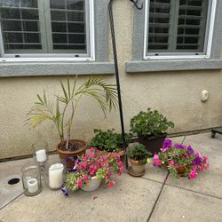 Plants, Plant Hooks, Outdoor Candle Holders
