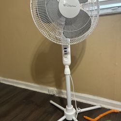 Living Zone Fan