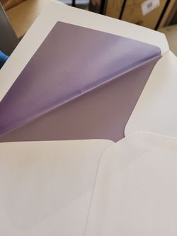 $40 Wedding Envelopes- 8.5 X 6 Inches