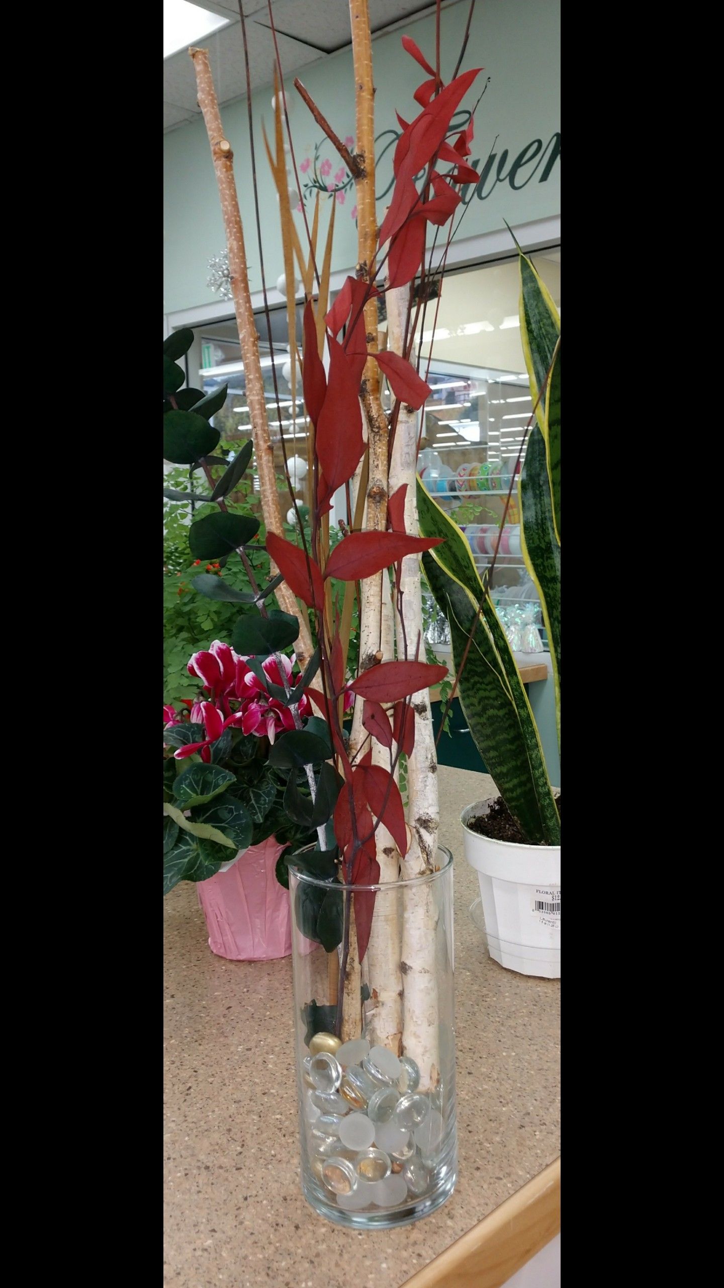Birch Arrangements