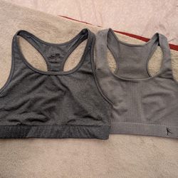 Lot Of 2 Gray Sports Bras; Medium, Danskin Now, Champion