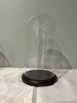 Glass Domes With A Base For Display