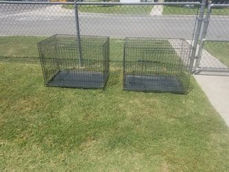 Dog kennels