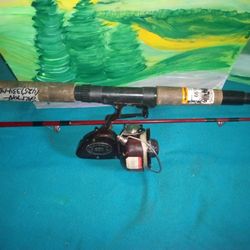Salmon Steal Head Fishing pole 930 Rod Over 8feet Pole Line Included 